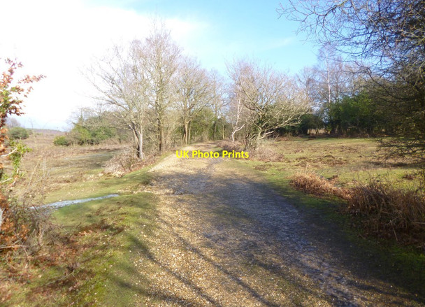 Photo 6"x4" Eyeworth, cycle route Fritham c2014