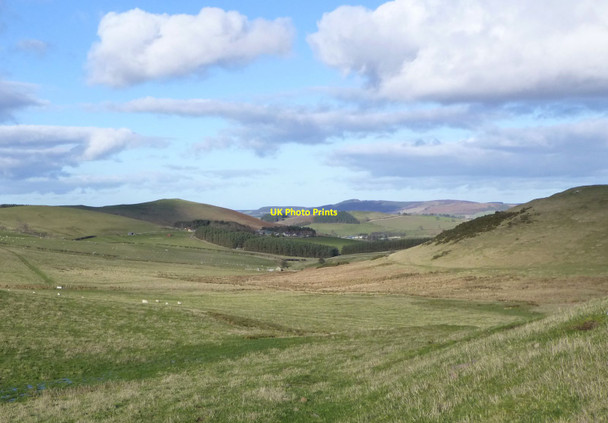 Photo 6"x4" Looking down the valley of Fawdon Burn Fawdon\/NU0315 c2014