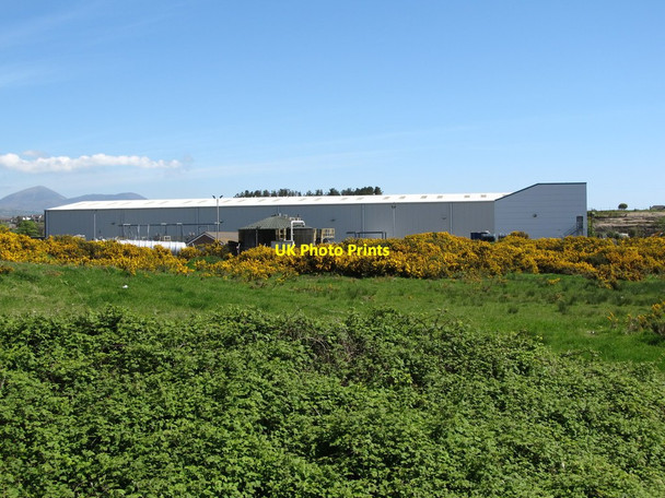 Photo 6"x4" The former Toughglass Plant at Kilkeel Harbour Kilkeel c2013