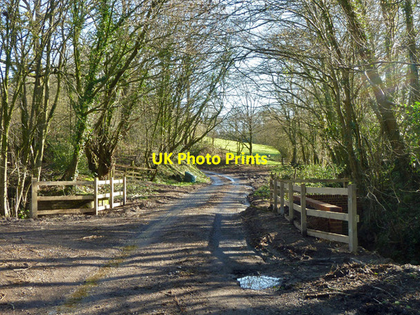 Photo 6"x4" Small bridge on Ninevah Lane Crit Hall c2014