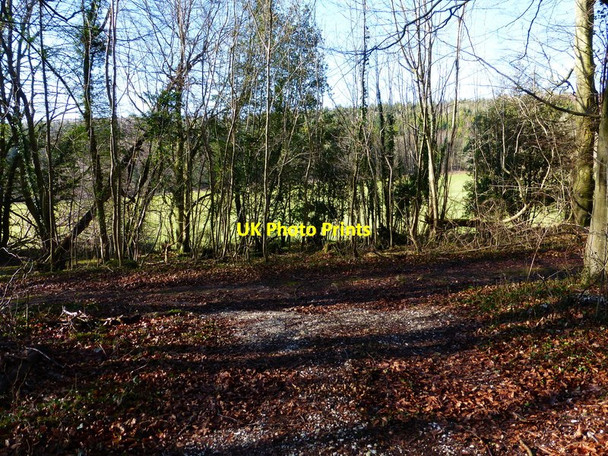 Photo 6"x4" Track junction in The Plantation Waterbeach\/SU8908 c2014