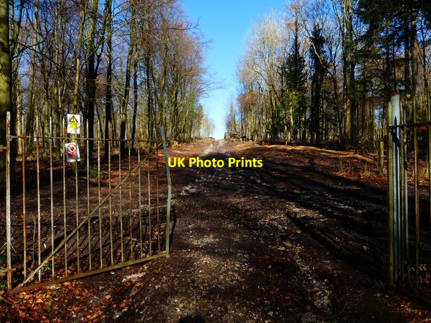 Photo 6"x4" View north from gate on Molecomb Broadwalk Charlton\/SU8812 c2014