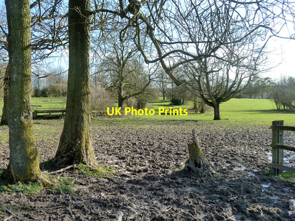 Photo 6"x4" Mud and grass Friningham c2014