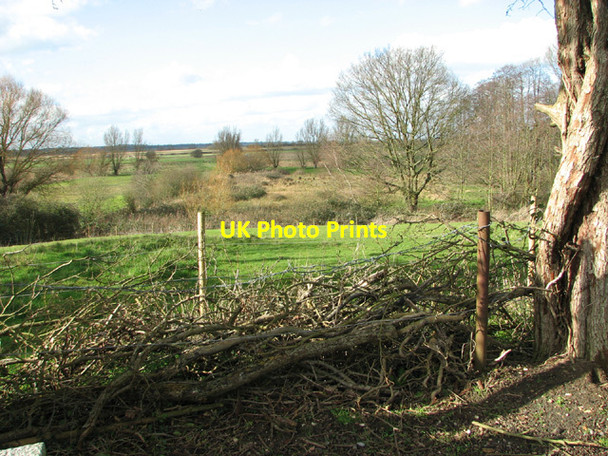 Photo 6"x4" View across Oulton Marshes Nature Reserve Camps Heath c2014