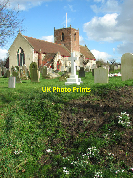 Photo 6"x4" Snowdrops by St Michael's church Camps Heath c2014