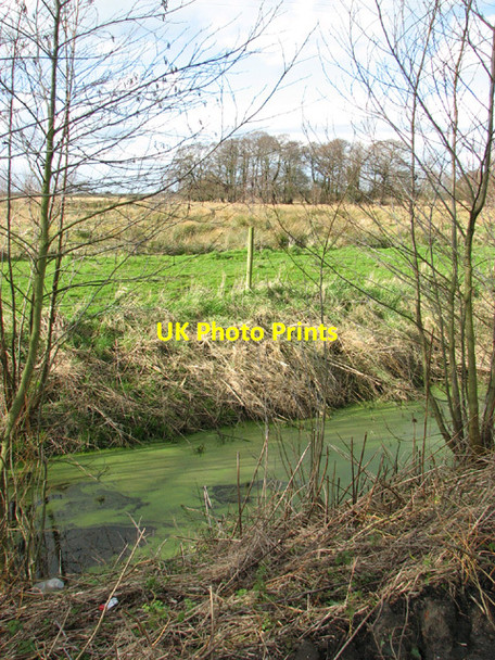 Photo 6"x4" Drainage ditch beside the Angles Way, Camps Heath Camps Heath c2014