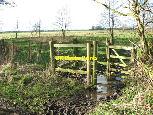 Photo 6"x4" Gate into Camps Heath Marshes nature reserve Camps Heath c2014