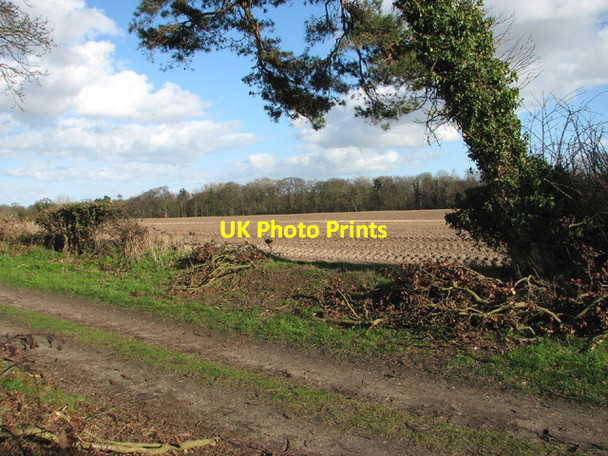 Photo 6"x4" Cultivated field by Flixton Wood Camps Heath c2014