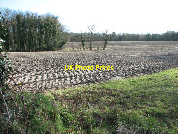 Photo 6"x4" Field by Nobb Cottages Camps Heath c2014