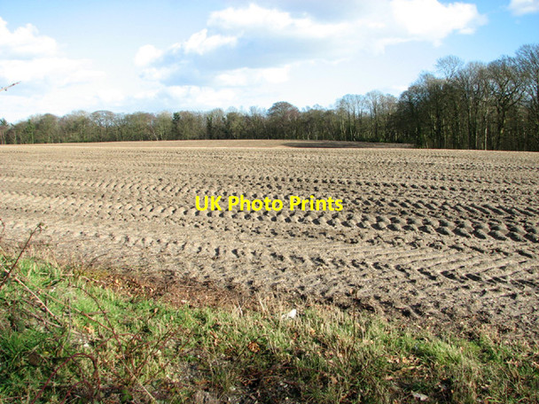 Photo 6"x4" Cultivated field beside Flixton Marsh Lane Camps Heath c2014