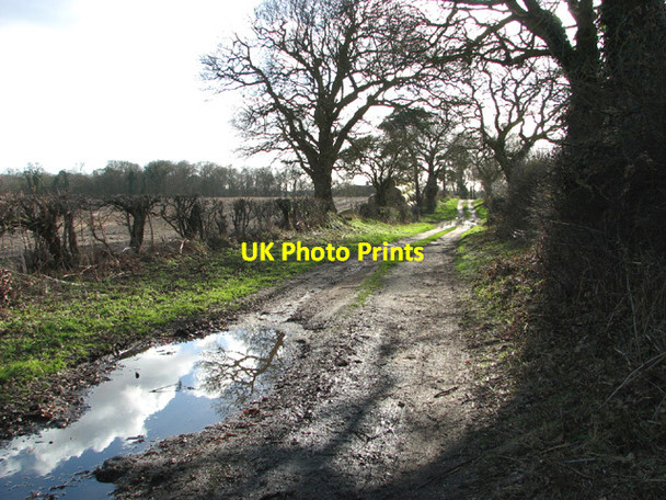 Photo 6"x4" View south along Flixton Marsh Lane Camps Heath c2014