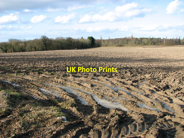 Photo 6"x4" Fields by Blundeston Hall Blundeston c2014