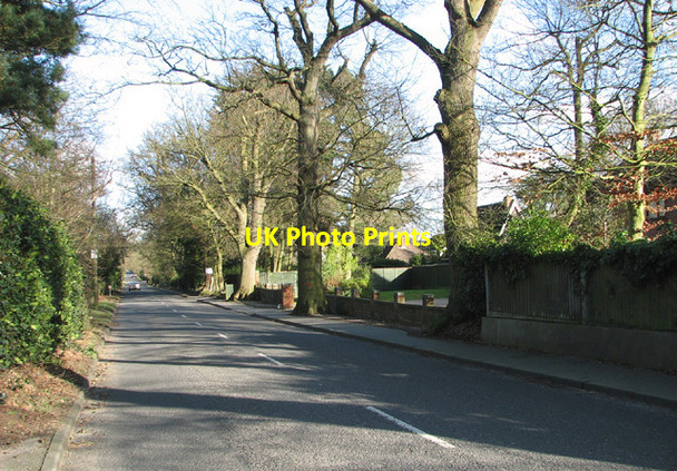 Photo 6"x4" View along Corton Long Road Corton\/TM5497 c2014