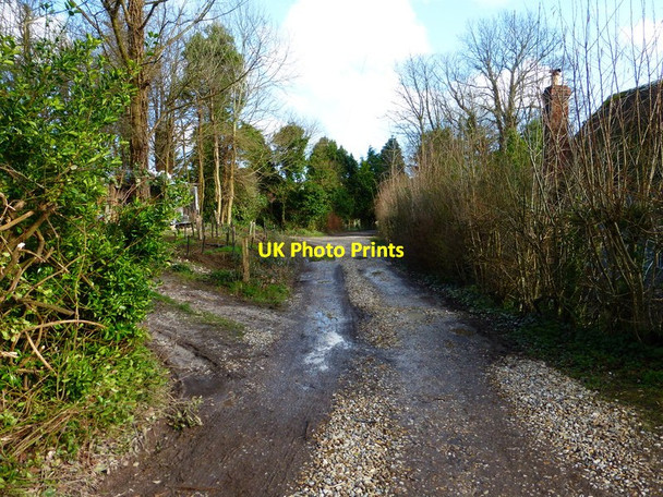 Photo 6"x4" Public footpath through Madehurst Madehurst c2014
