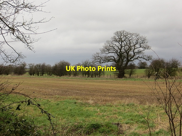 Photo 6"x4" Oak, Frodesley Frodesley c2014