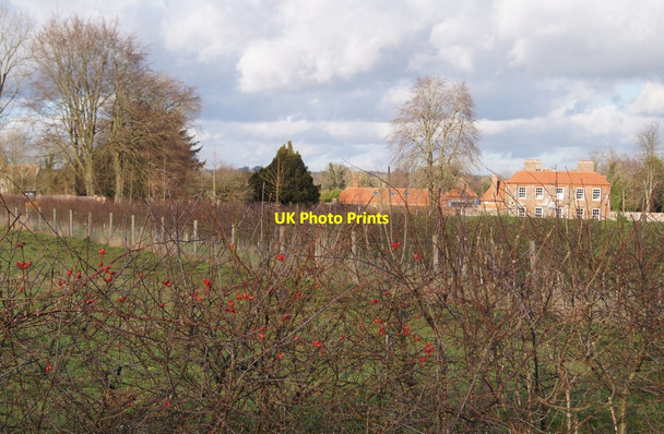 Photo 6"x4" Grounds of The Manor House Church Oakley c2014