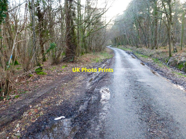 Photo 6"x4" Looking south on Binsted Lane Arundel c2014