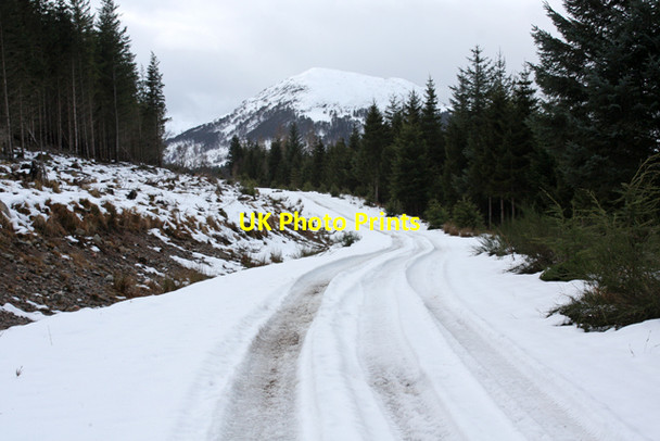 Photo 6"x4" Forestry track, Coille Ceannloch Ardverikie c2014