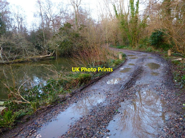 Photo 6"x4" Binsted Lane by pond Arundel c2014
