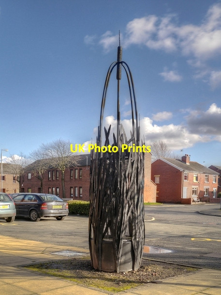 Photo 6"x4" Irwell Sculpture Trail - In the Bulrushes Radcliffe\/SD7807 c2014