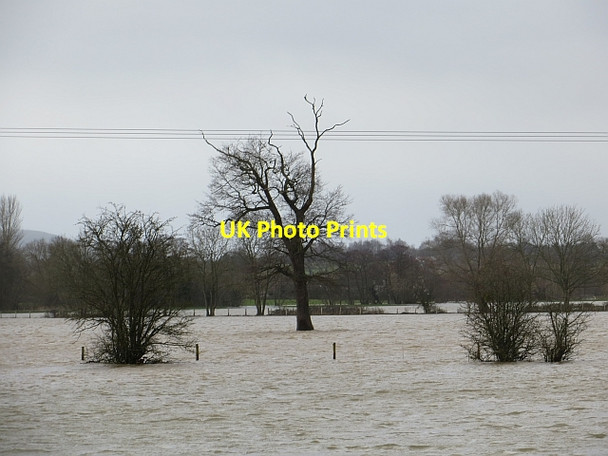 Photo 6"x4" Floods, Newtown Leominster c2014