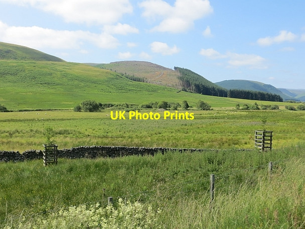 Photo 6"x4" Yarrow flood plain Dryhope c2013