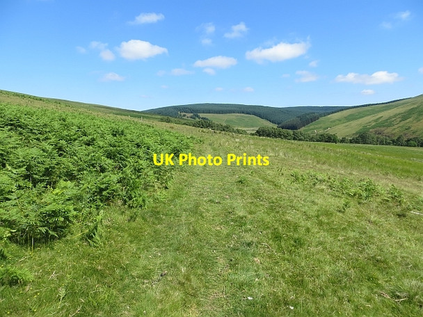 Photo 6"x4" Path above the Douglas Burn Dryhope c2013