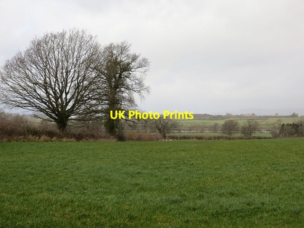Photo 6"x4" A wet day near Ivington Hyde\/SO4555 c2014