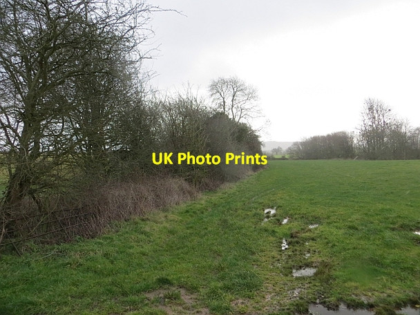 Photo 6"x4" Waterlogged pasture Sollers Dilwyn c2014