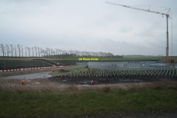 Photo 6"x4" Serious tree planting Bygrave c2014