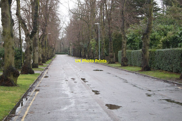 Photo 6"x4" View along Bentley Road Cambridge\/TL4658 c2014
