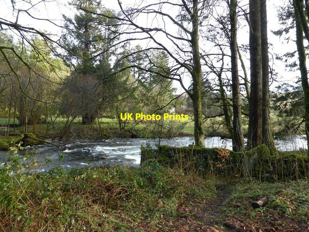 Photo 6"x4" Swollen River Dart near Hexworthy Bridge Hexworthy\/SX6572 c2014