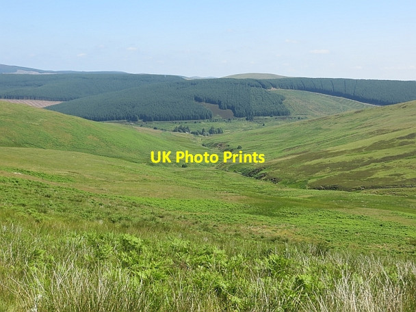Photo 6"x4" Glenlude Burn Deuchar Law c2013