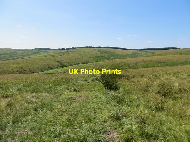 Photo 6"x4" Kinchie Cleuch Deuchar Law c2013