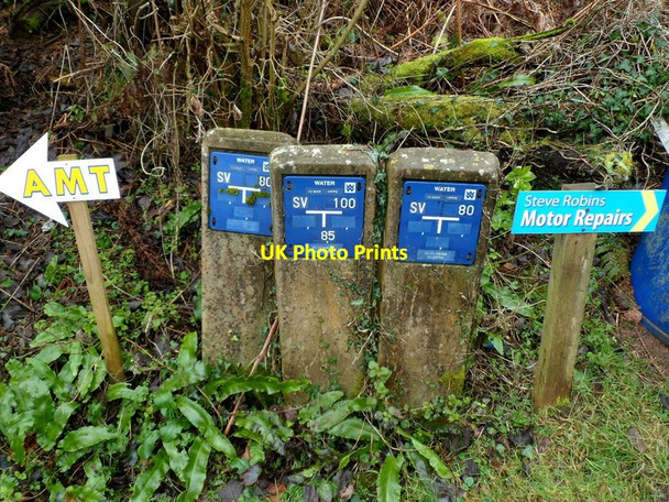 Photo 6"x4" Hydrant markers in Little Doward Little Doward c2012