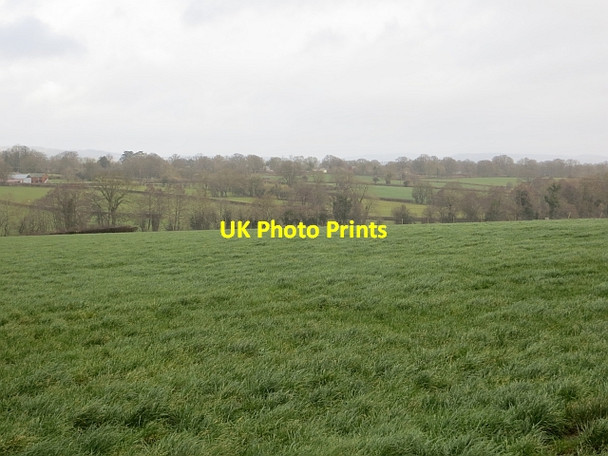 Photo 6"x4" Field, Tibhall Bearwood\/SO3856 c2014