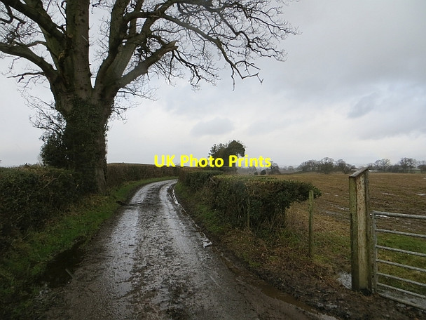Photo 6"x4" Muddy lane,The Riddox Upper Broxwood c2014