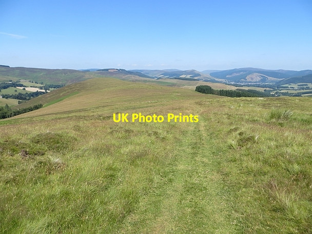 Photo 6"x4" Newhall Hill Southern Upland Way\/NT3031 c2013