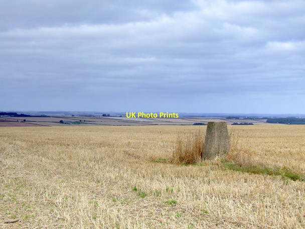 Photo 6"x4" Weighton Wold Ordnance Survey Trig Pillar Sancton c2009