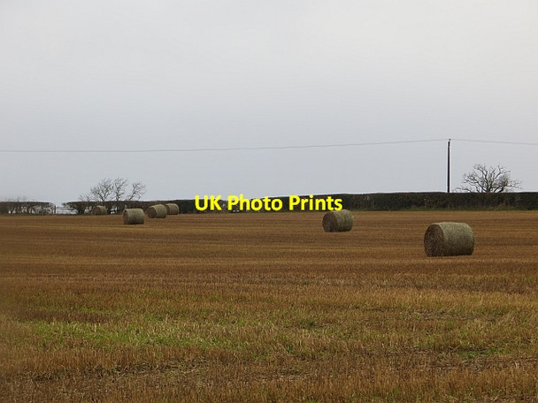Photo 6"x4" Stubble, Broxwood Upper Broxwood c2014