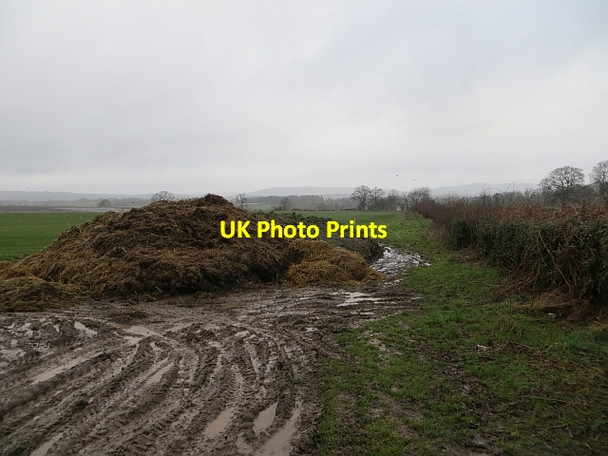 Photo 6"x4" Mixen near Broxwood Broxwood c2014