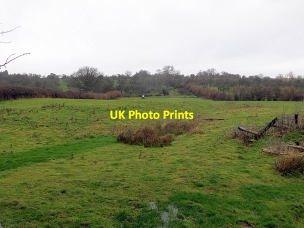 Photo 6"x4" Gully, Woonton Ash Holme Marsh c2014