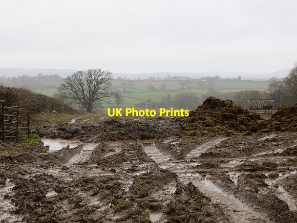 Photo 6"x4" Mud, Lyonshall Holme Marsh c2014