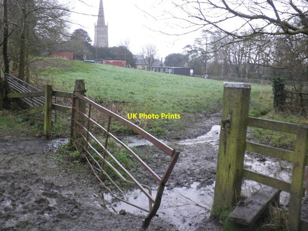 Photo 6"x4" Muddy path, East Brent East Brent c2014