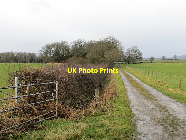 Photo 6"x4" Farm road, Bearwood Bearwood\/SO3856 c2014