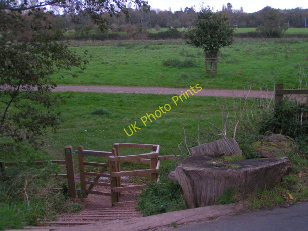 Photo 6"x4" Flood plain between river Exe and Exeter Canal Exeter c2008