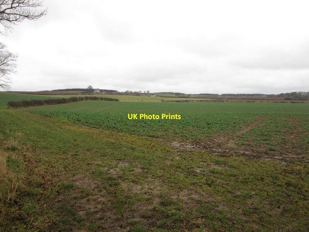 Photo 6"x4" Arable land near Peelwalls Farm Prenderguest c2014