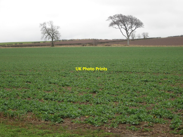 Photo 6"x4" Arable field near Peelwalls Farm Prenderguest c2014