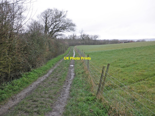 Photo 6"x4" Track to Manor Farm Brent Knoll\/ST3350 c2014