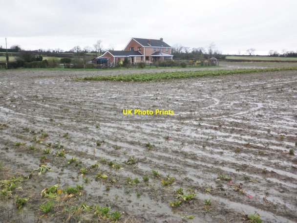 Photo 6"x4" Saturated field Brent Knoll\/ST3350 c2014